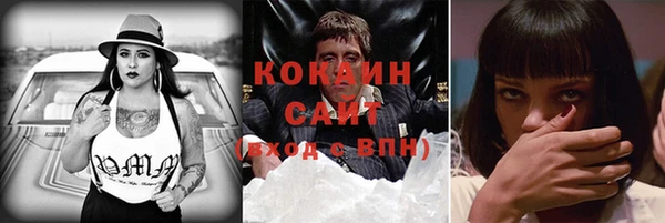 гашик Арсеньев