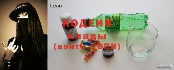гашик Арсеньев