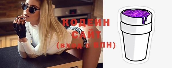гашик Арсеньев