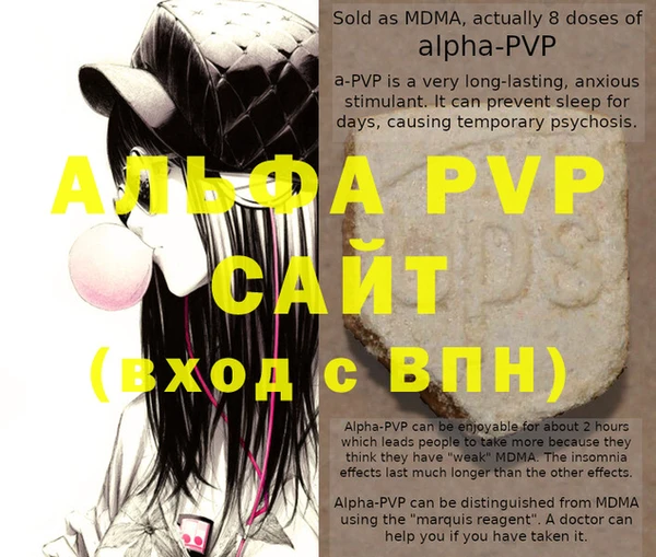 гашик Арсеньев