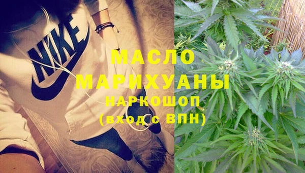 гашик Арсеньев