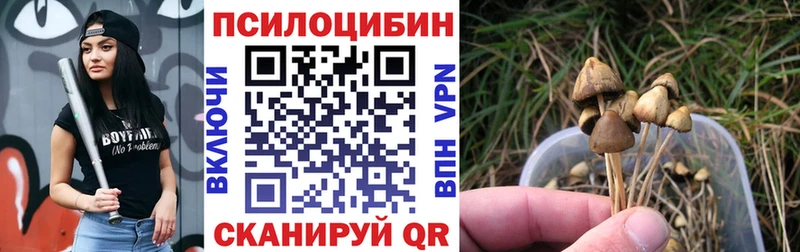 Псилоцибиновые грибы мицелий  купить   Майский 